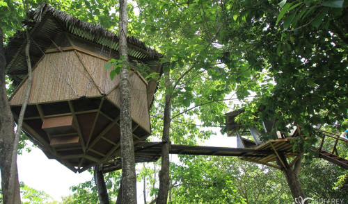 Treehouses in Costa Rica