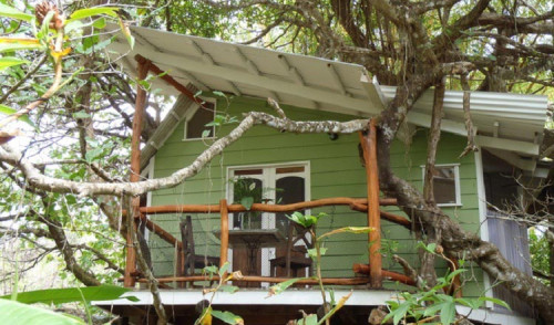 Playa Selva Tree House Lodge