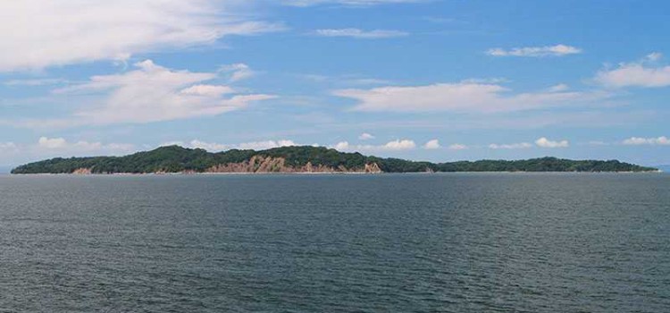 San Lucas Island: Where the Haunting Past Meets the Vibrant Present San Lucas Island: Where the Haunting Past Meets the Vibrant Present