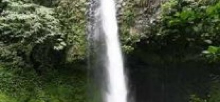 La Fortuna Waterfall La Fortuna Waterfall