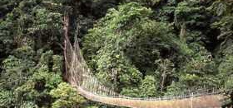 The Rainmaker Aerial Walkway: Costa Rica’s First Aerial Canopy Tour The Rainmaker Aerial Walkway: Costa Rica’s First Aerial Canopy Tour