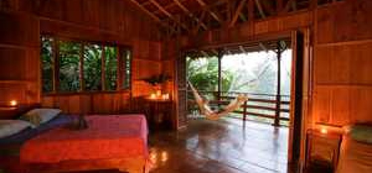 Selva Bananito Lodge Selva Bananito Lodge