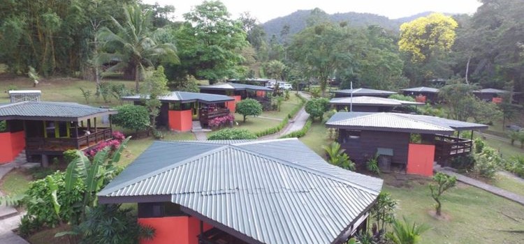 Chachagua Rain Forest Lodge Chachagua Rain Forest Lodge