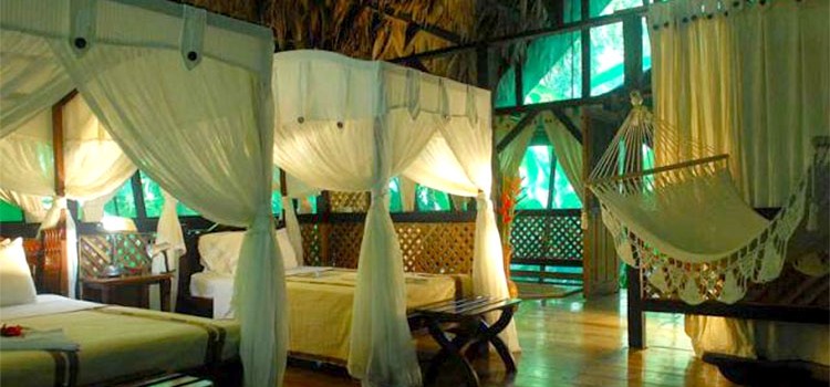 Almonds and Corals Eco Lodge Almonds and Corals Eco Lodge