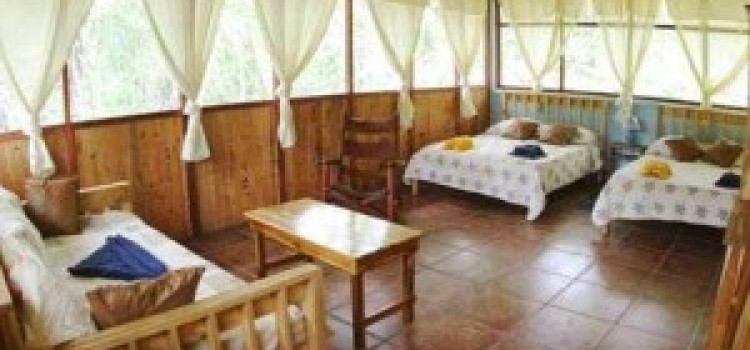 Turtle Beach Lodge Turtle Beach Lodge