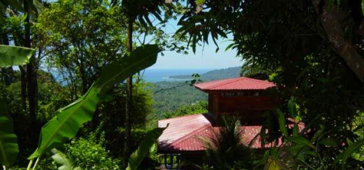 Samasati Nature Retreat Samasati Nature Retreat