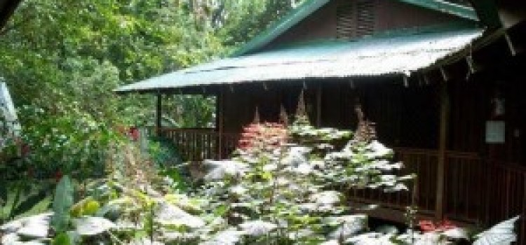 Introduction – Costa Rica Eco Lodges Introduction – Costa Rica Eco Lodges