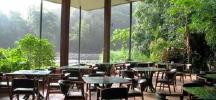 Selva Verde Selva Verde