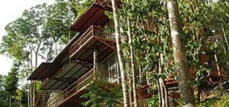 Mary Selva Mary Selva