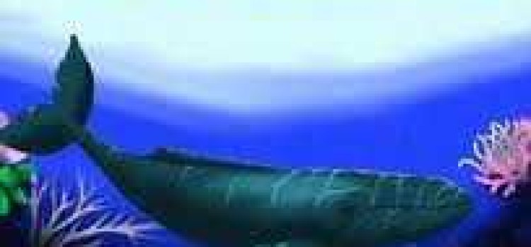 The Divine Dolphin The Divine Dolphin