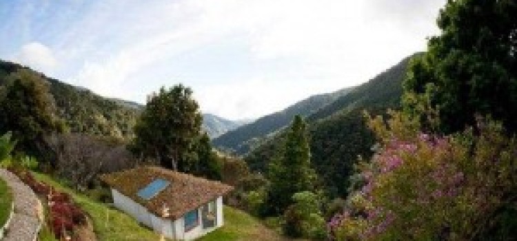 Dantica Cloud Forest Lodge Dantica Cloud Forest Lodge