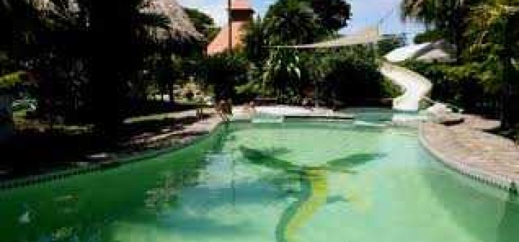 Hotel Flying Crocodile Hotel Flying Crocodile