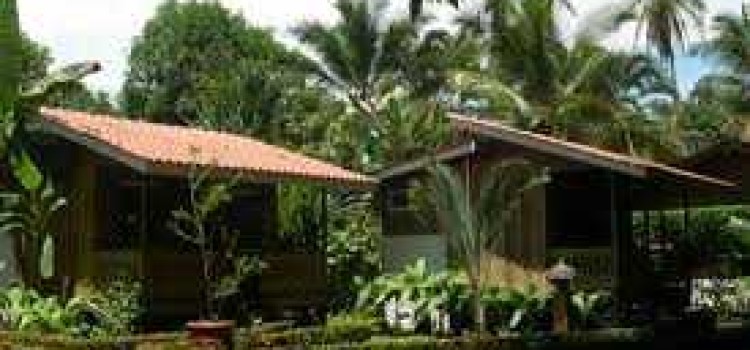 Hotel Escape Caribeno Hotel Escape Caribeno