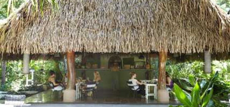 Harmony Hotel Harmony Hotel