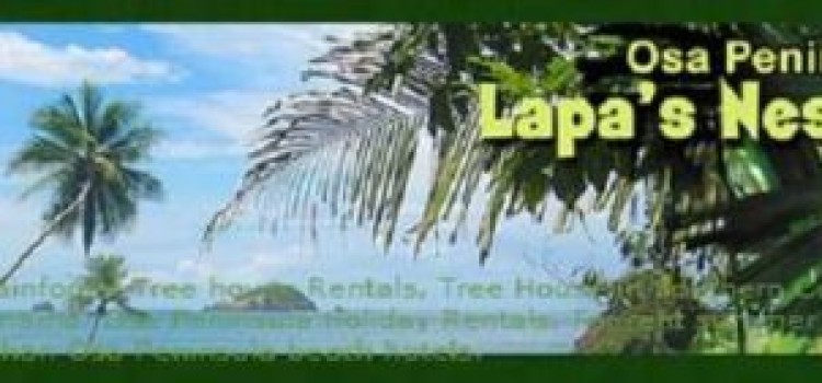 Lapa’s Nest Tree House Lapa’s Nest Tree House