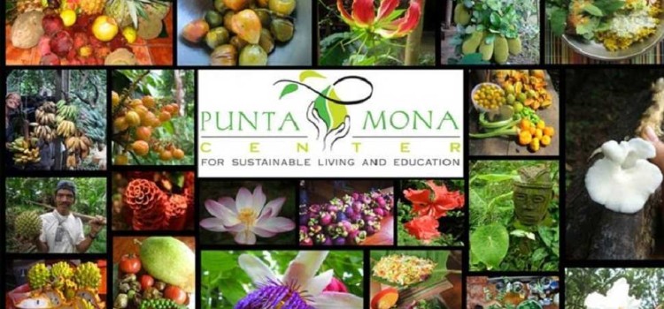 Punta Mona Punta Mona