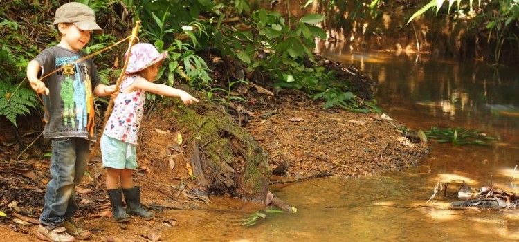 Pura Tierra Pura Tierra