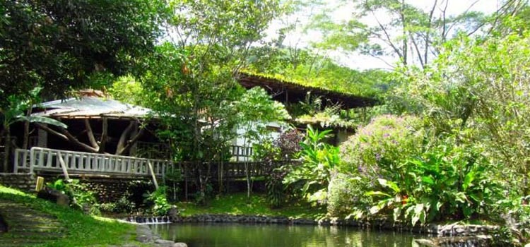 Rancho Margot Rancho Margot