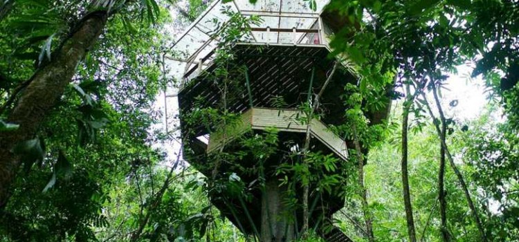 Finca Bellavista Finca Bellavista