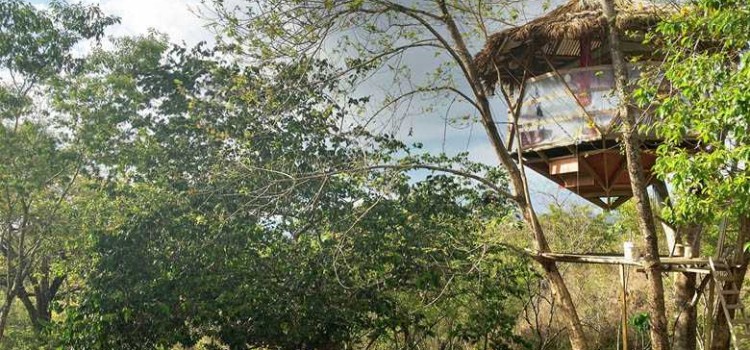 Rancho Delicioso Rancho Delicioso