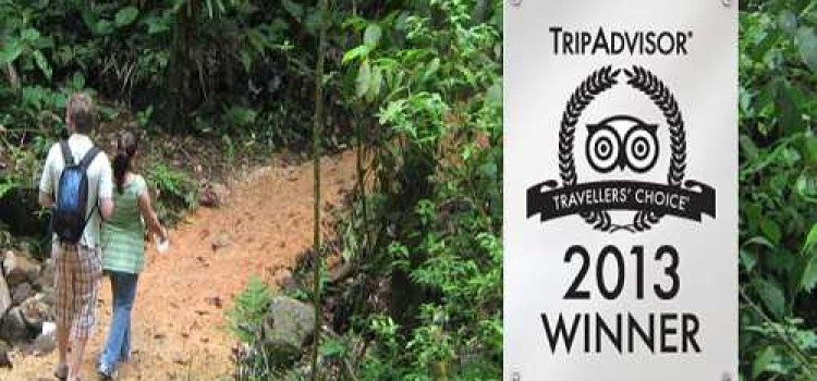 Celeste Mountain Lodge Celeste Mountain Lodge