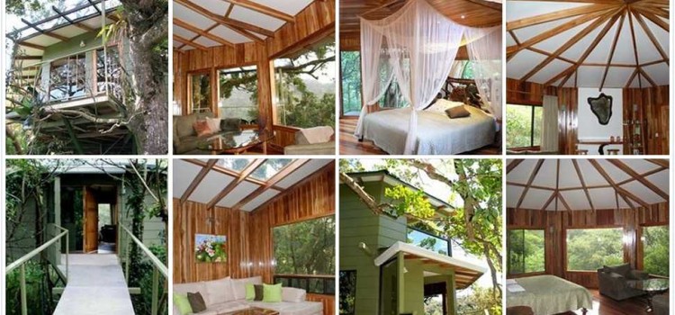 Hidden Canopy “Treehouses” Boutique Hotel Hidden Canopy “Treehouses” Boutique Hotel