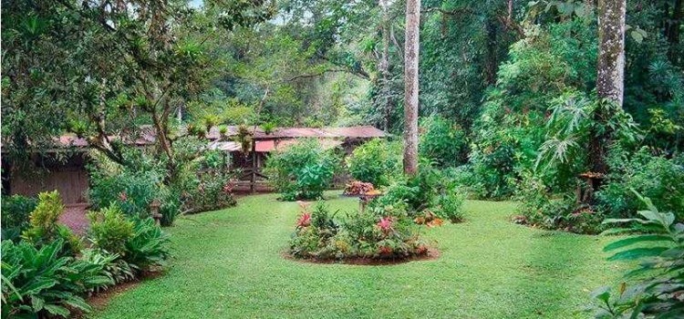 La Carolina Lodge La Carolina Lodge