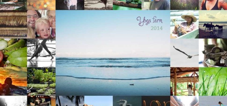 The Yoga Farm The Yoga Farm