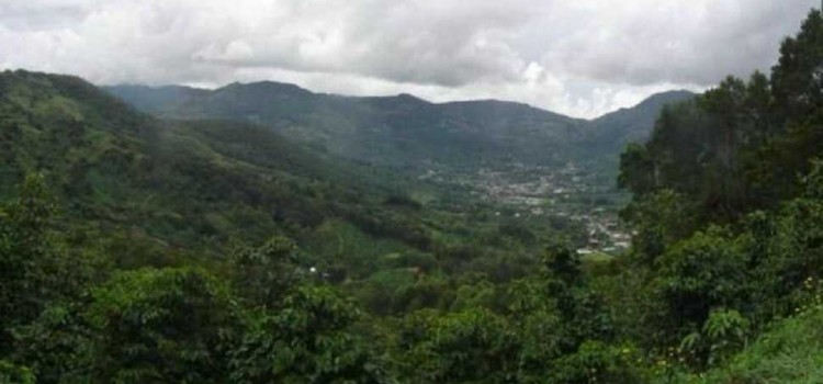 Los Santos Forest Reserve Los Santos Forest Reserve