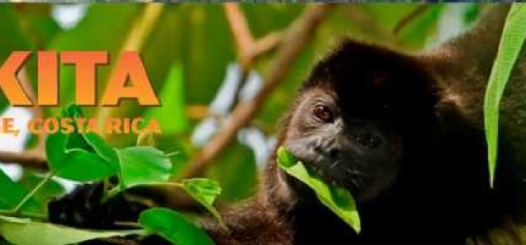 Tiskita Jungle Lodge Tiskita Jungle Lodge