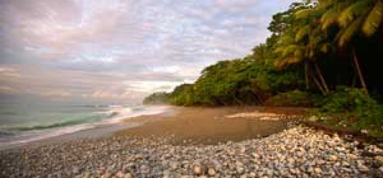 Encanta la Vida Rainforest Lodge Encanta la Vida Rainforest Lodge