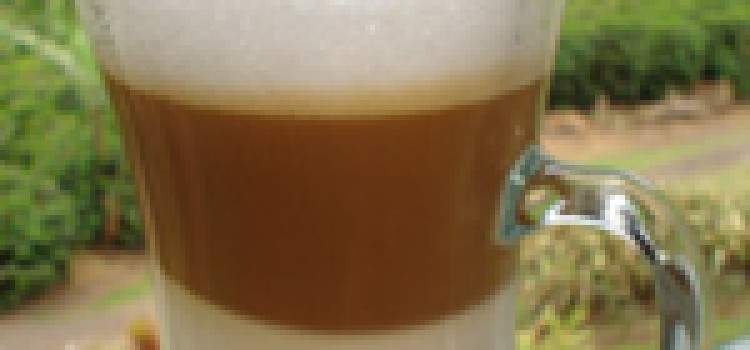 Costa Rica Coffee Tours Costa Rica Coffee Tours