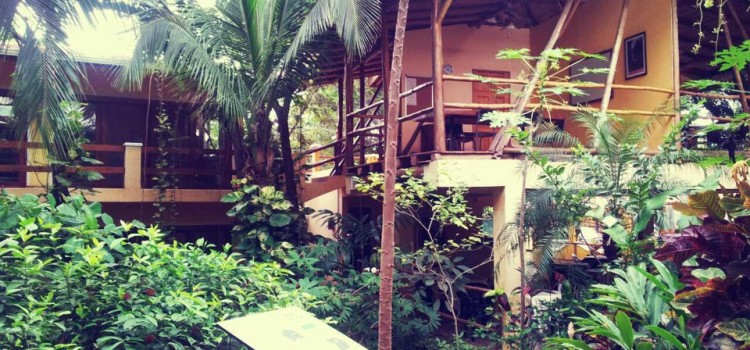 WAYRA Instituto de Español WAYRA Instituto de Español