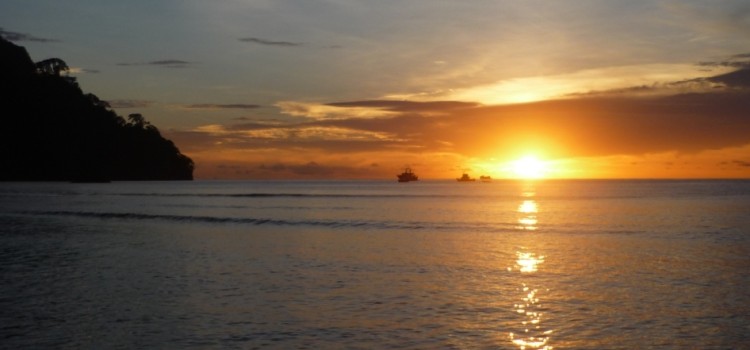 Natural History of Cocos Island Natural History of Cocos Island