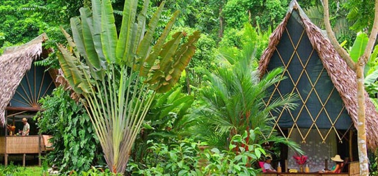 Rainforest Eco Lodges in Costa Rica Rainforest Eco Lodges in Costa Rica