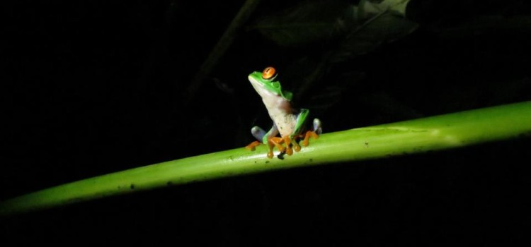 Elemento Natural Elemento Natural