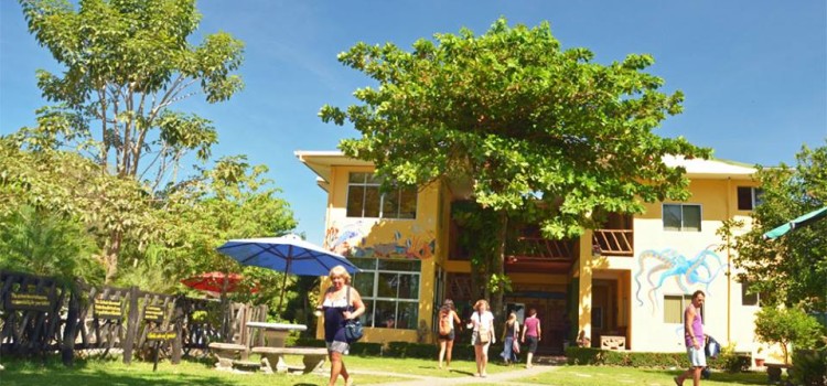 Intercultura Samara Language School Intercultura Samara Language School