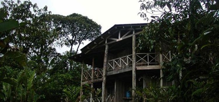 Rara Avis Rainforest Lodge & Reserve Rara Avis Rainforest Lodge & Reserve