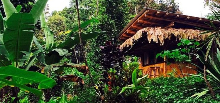 Finca Tierra Organic Permaculture Farm & Eco-Lodge Finca Tierra Organic Permaculture Farm & Eco-Lodge