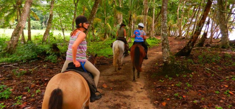 Kindred Spirits Equestrians Retreats Kindred Spirits Equestrians Retreats