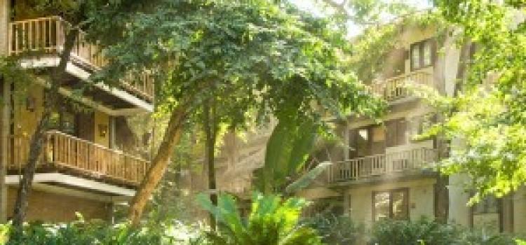 Lacqua Viva Resort Lacqua Viva Resort