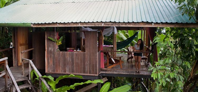 Lookout Inn Lookout Inn