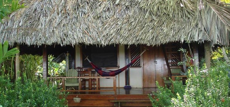 Cabinas Los Cocos Cabinas Los Cocos