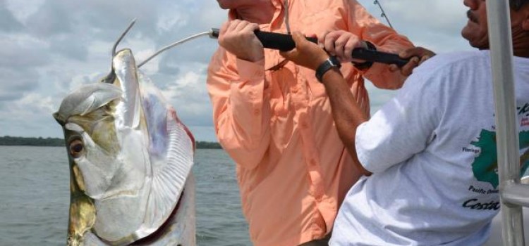 Silver King Lodge Silver King Lodge