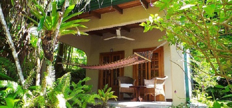 The Falls Resort The Falls Resort