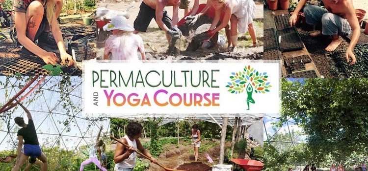 Permaculture and Yoga Retreat at Rancho Delicioso Permaculture and Yoga Retreat at Rancho Delicioso