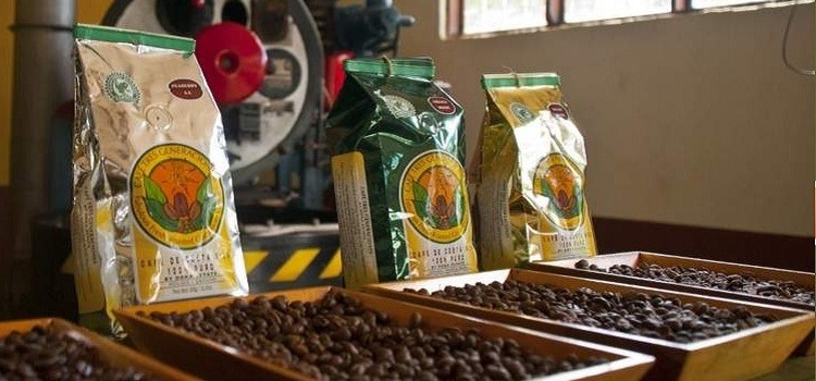 Best Coffee Tours in Costa Rica Best Coffee Tours in Costa Rica