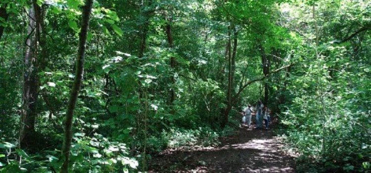 National Parks of Costa Rica National Parks of Costa Rica