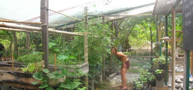 Finca Morpho Finca Morpho