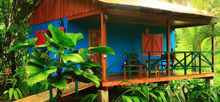 Casa Colores Casa Colores